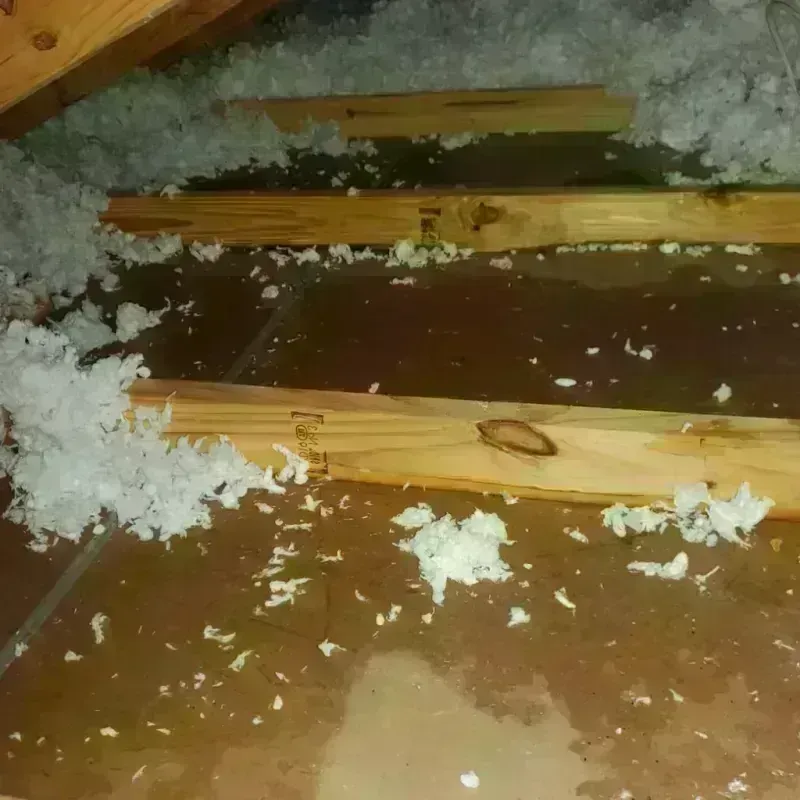 Attic Water Damage in Scott County, IN