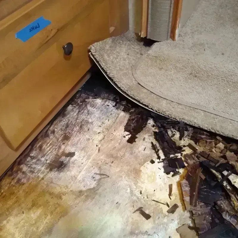 Best Wood Floor Water Damage Service in Scott County, IN